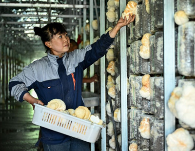 九部门:7月1日起职业伤害保障试点向全国推开