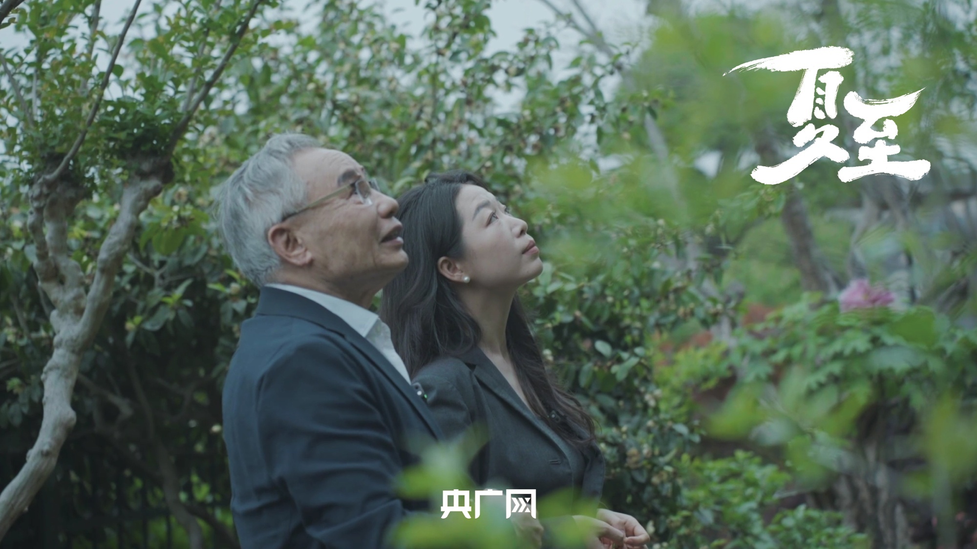 总停播