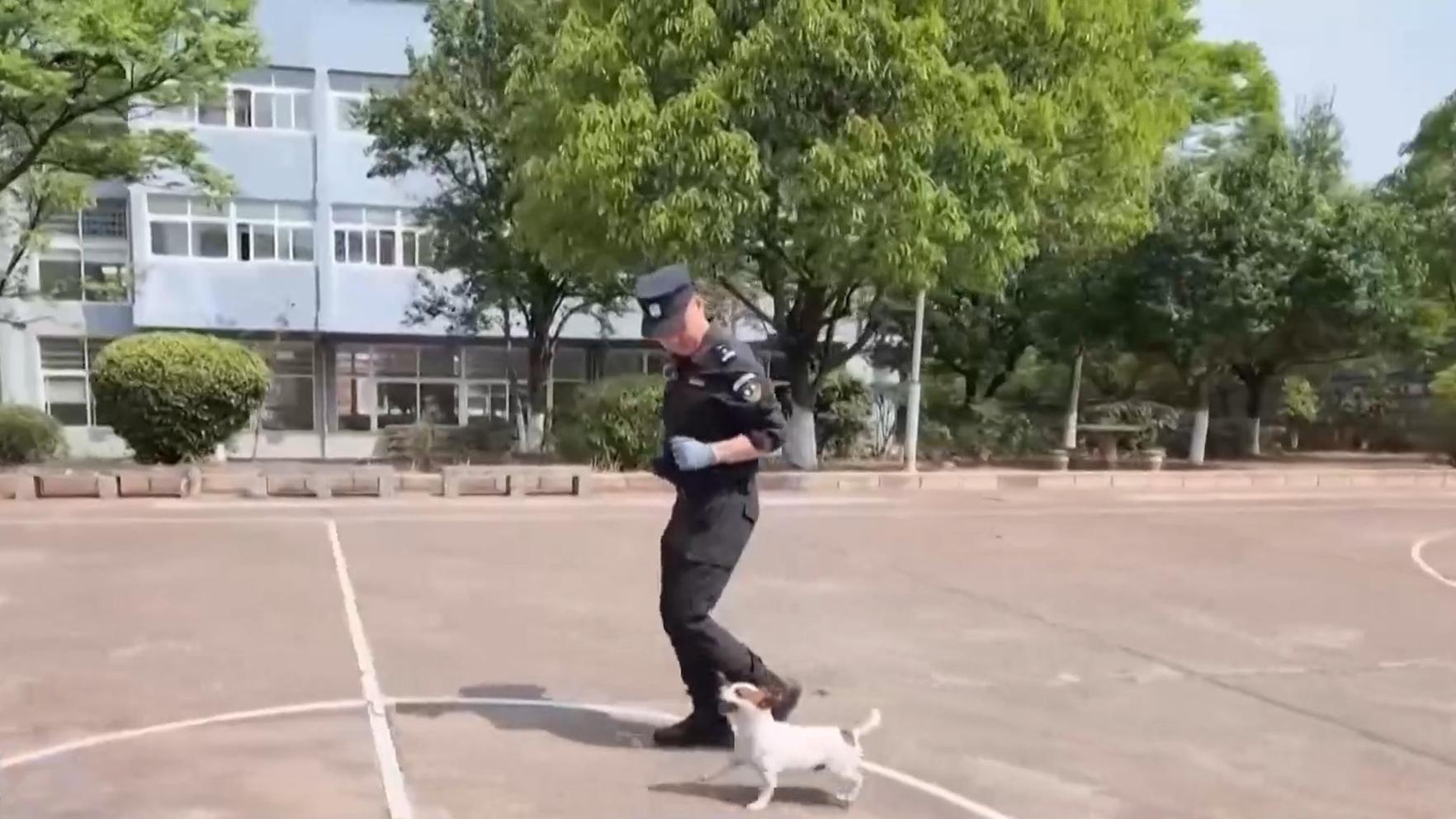 上海一养护院把人关在像猪圈的房间