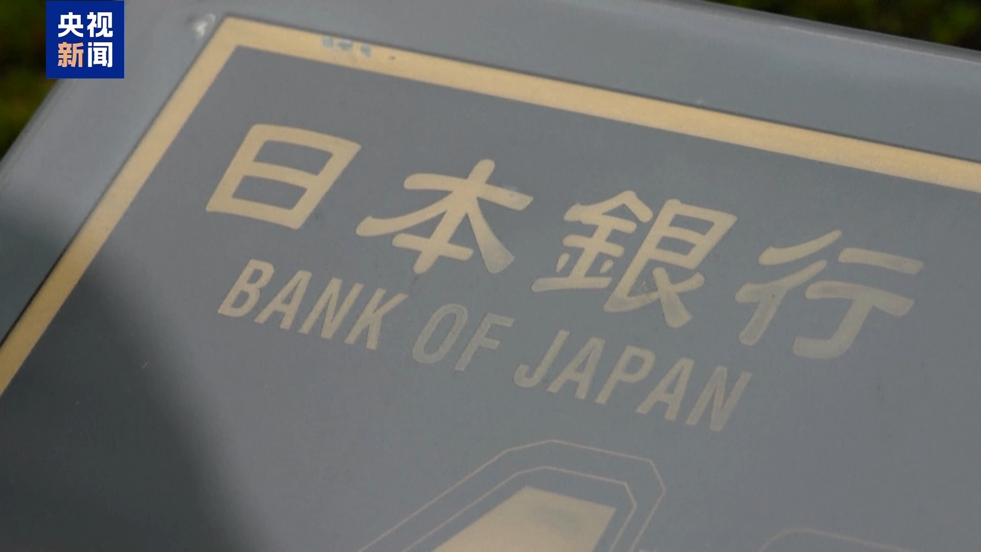 国产短剧已经疯了
