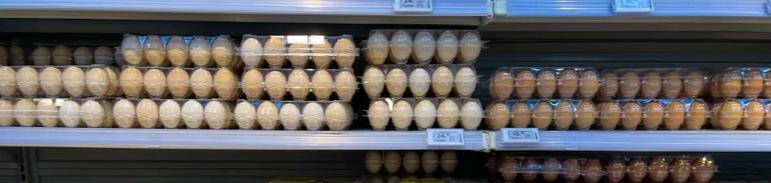 人故意吃虫子让火锅店赔