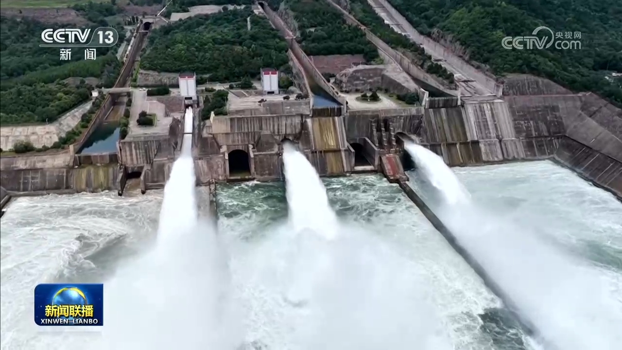 成全动漫在线观看剧情