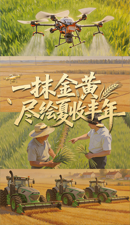 杨幂治好了我的犯错羞耻症