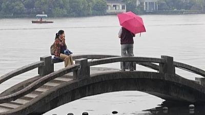 文章模仿向佐动作