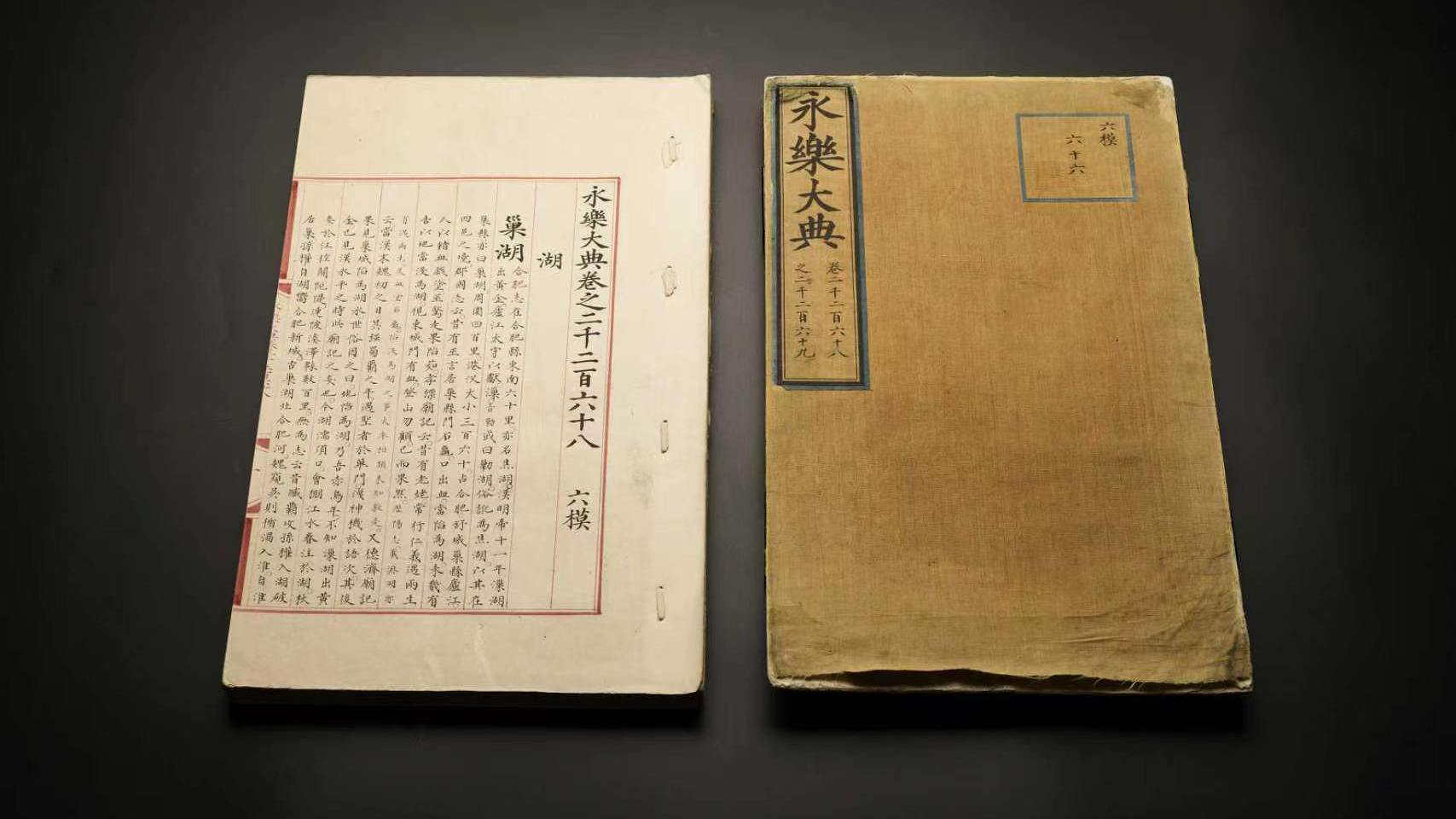 杭州机器人再成外交“明星”