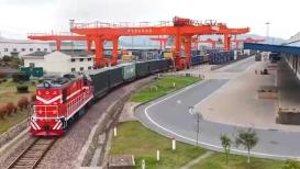 大唐河南发电有限公司原副总经理白献锁接受审查调查