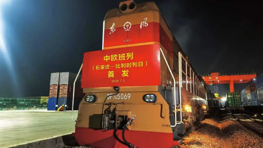 疾控部门回应广东蟑螂已进化